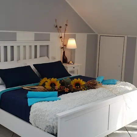 فندق مبيت وإفطار Central Park 3*