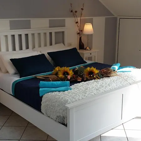 Bed & Breakfast Park